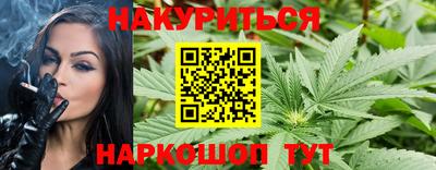 индика Славгород