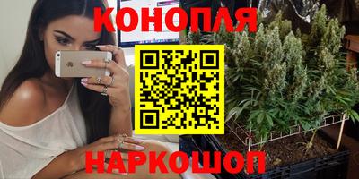индика Славгород