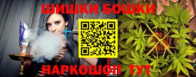 индика Славгород