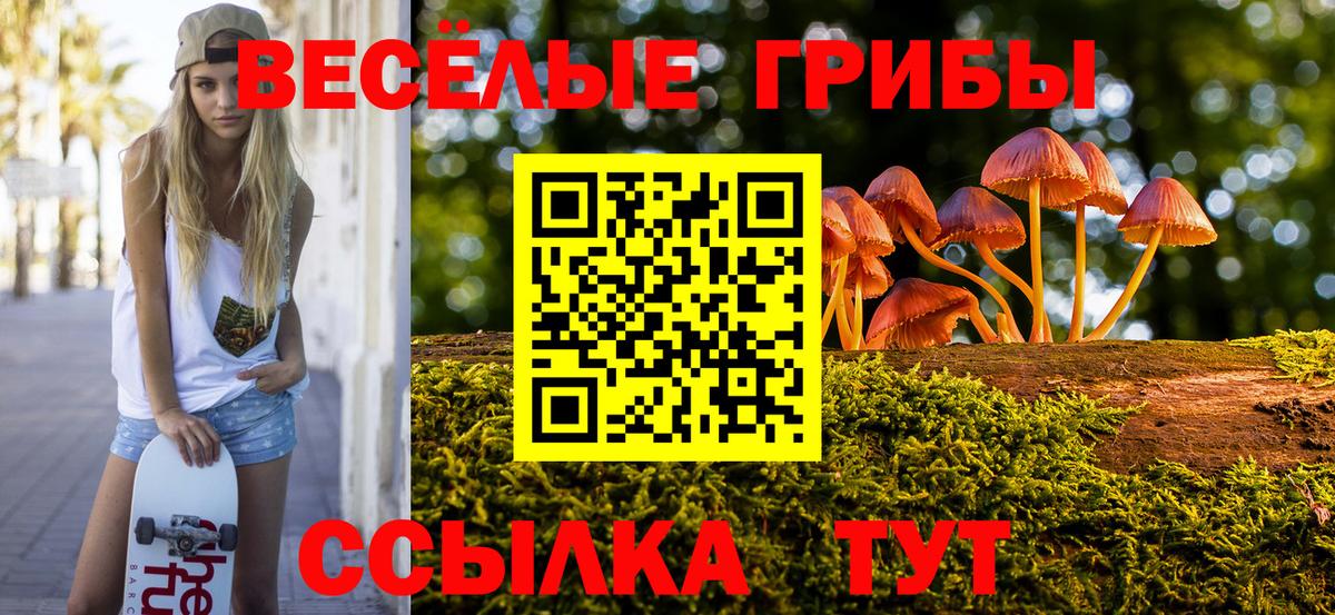 Галлюциногенные грибы GOLDEN TEACHER  Вход с VPN  Тайшет  Галлюциногенные грибы мухоморы 