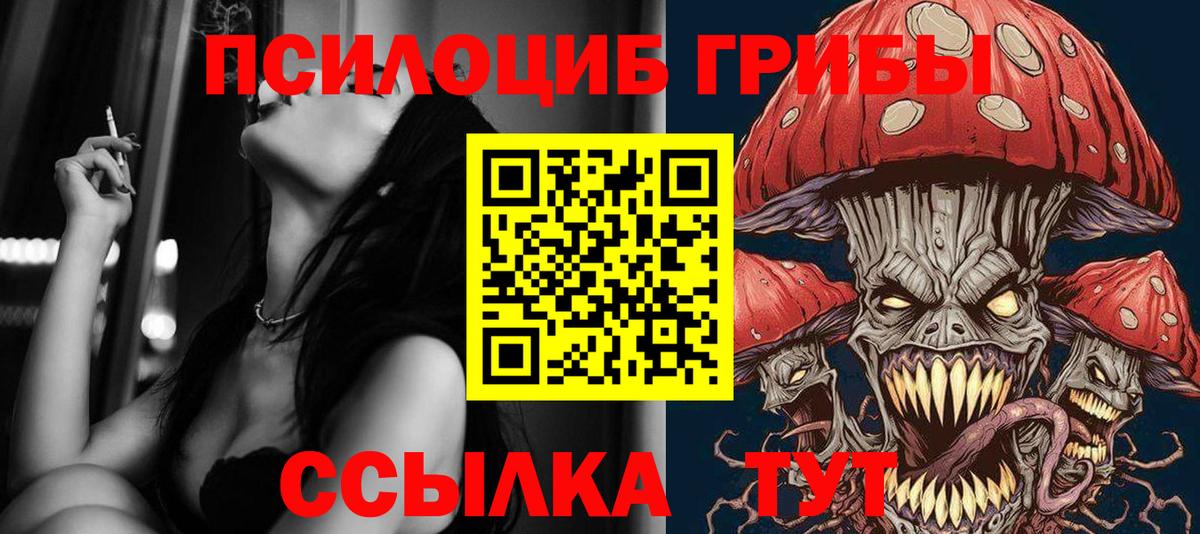 Псилоцибиновые грибы Magic Shrooms Тайшет